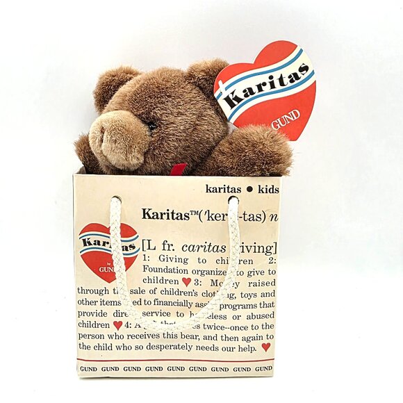 Gund Karitas Tender Teddy Brown Plush Teddy Bear 1989 Tags Gift Bag Vintage NOS - Picture 2 of 15